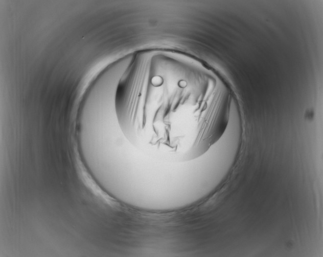 X0000115221088200911251526