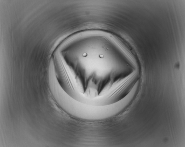 X0000115221089200911251526