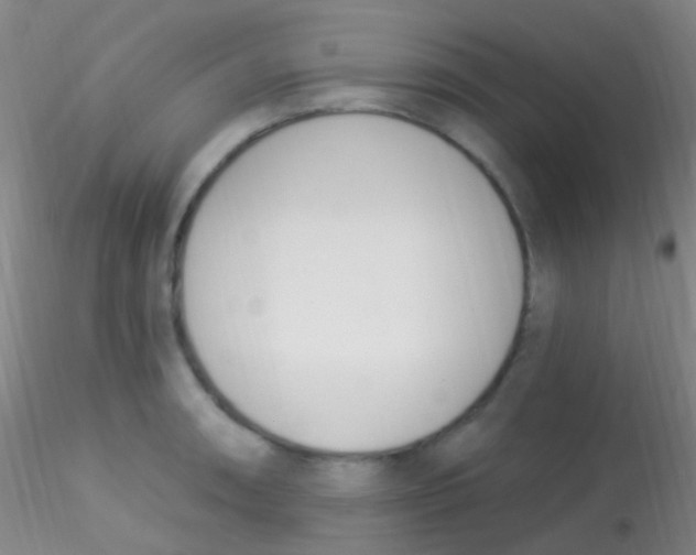 X0000115221090200911251526