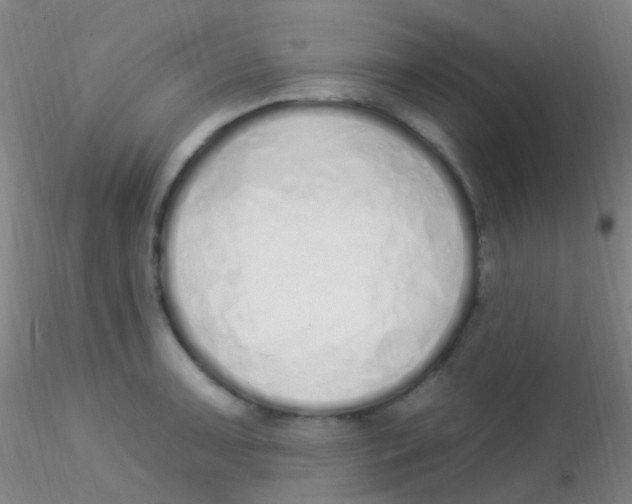 X0000115221091200911251526