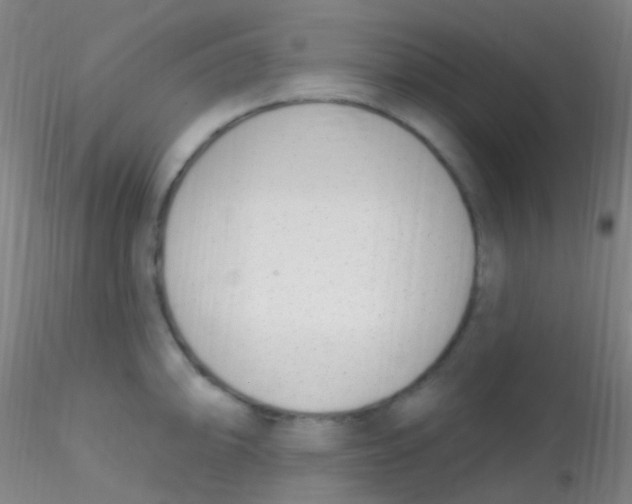 X0000115221094200911251526