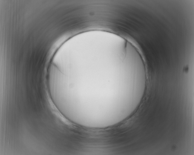 X0000115221096200911251525