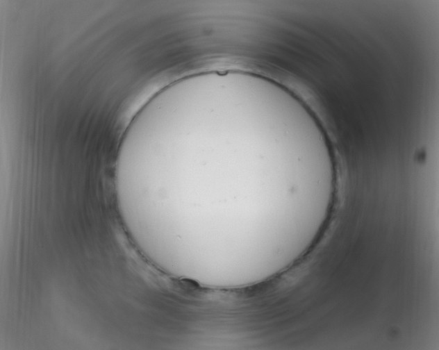 X0000115221097200911251525