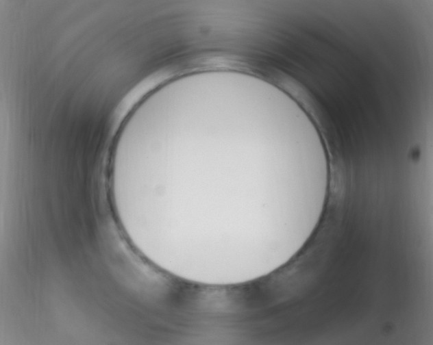 X0000115221098200911251525