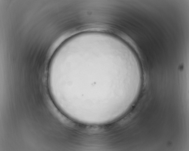 X0000115221099200911251525