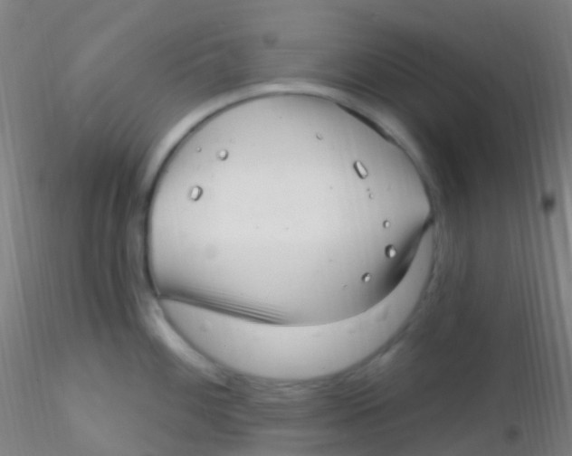 X0000115221100200911251525