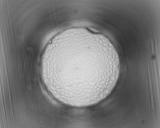 X0000115221103200911251525
