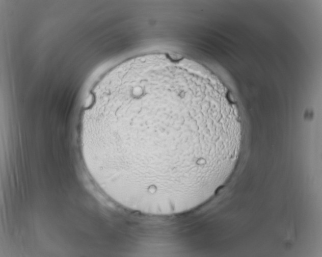 X0000115221104200911251525
