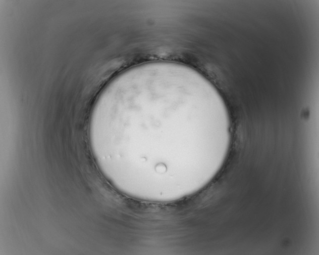 X0000115221105200911251525