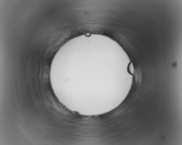 X0000115221107200911251525