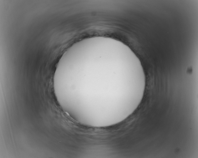 X0000115221109200911251525