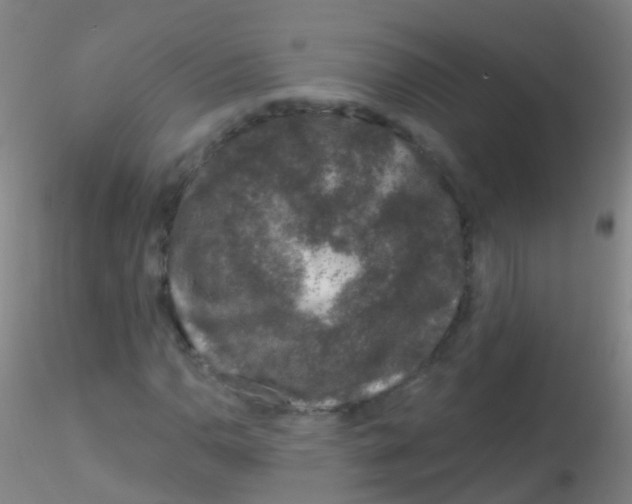 X0000115221110200911251525