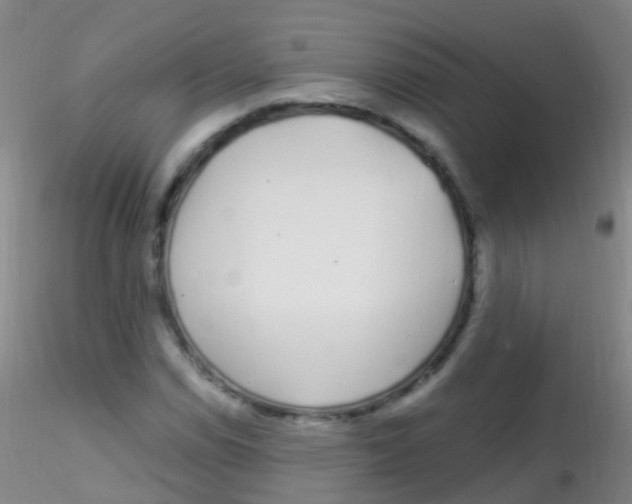 X0000115221114200911251525