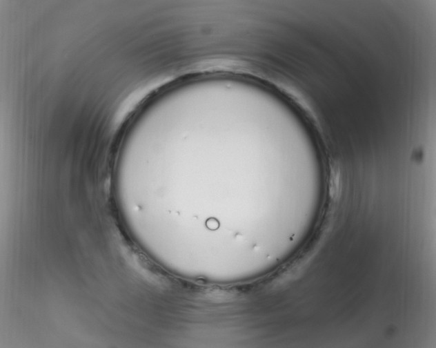 X0000115221117200911251525