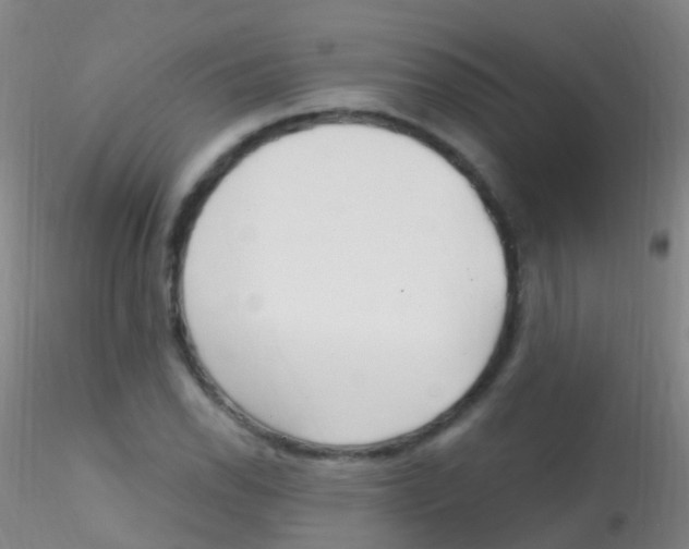 X0000115221118200911251525