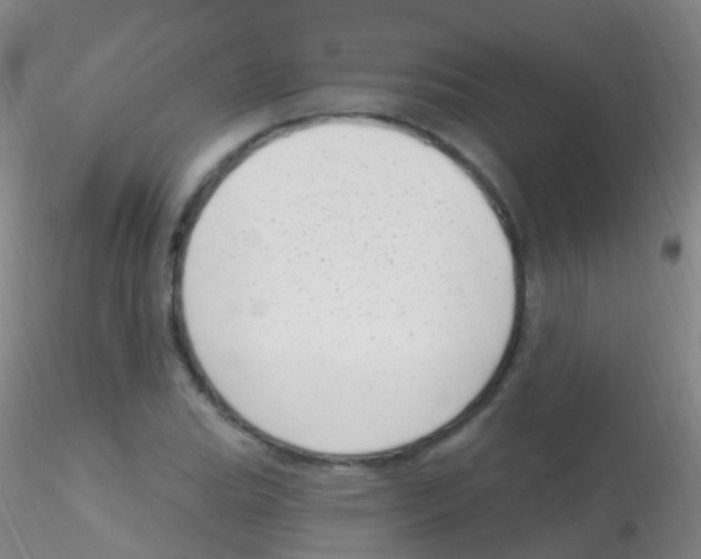 X0000115221119200911251525