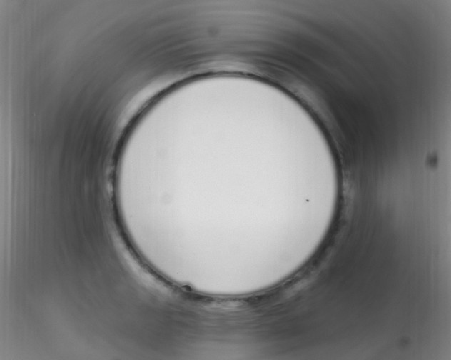 X0000115221133200911251525