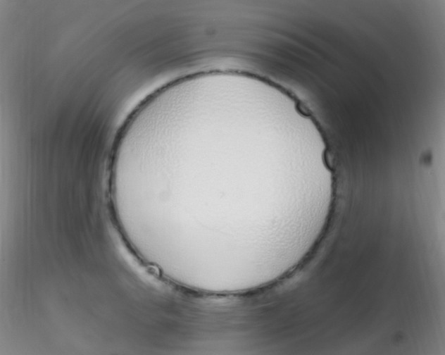 X0000115221134200911251525