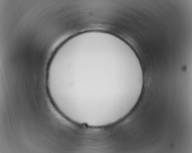 X0000115221135200911251525