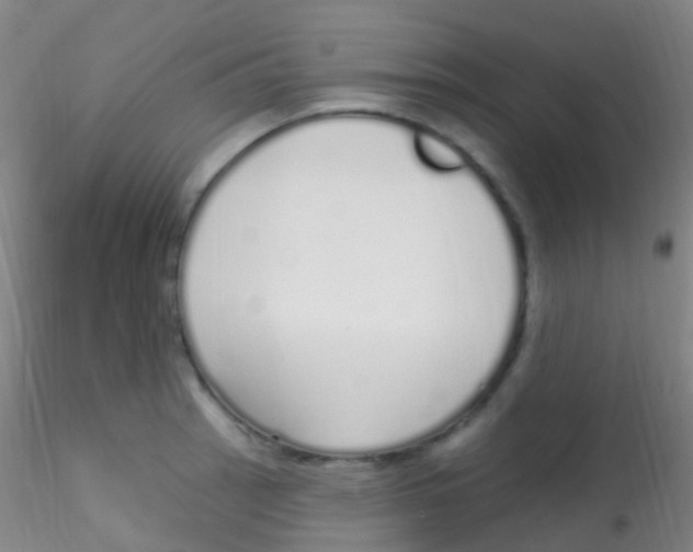 X0000115221137200911251525