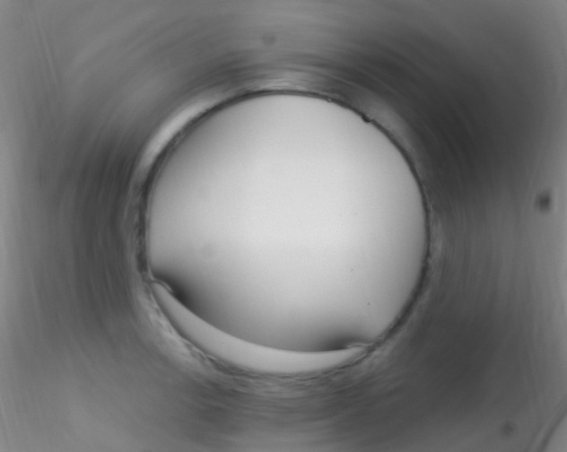 X0000115221138200911251525
