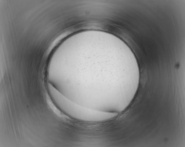 X0000115221139200911251525