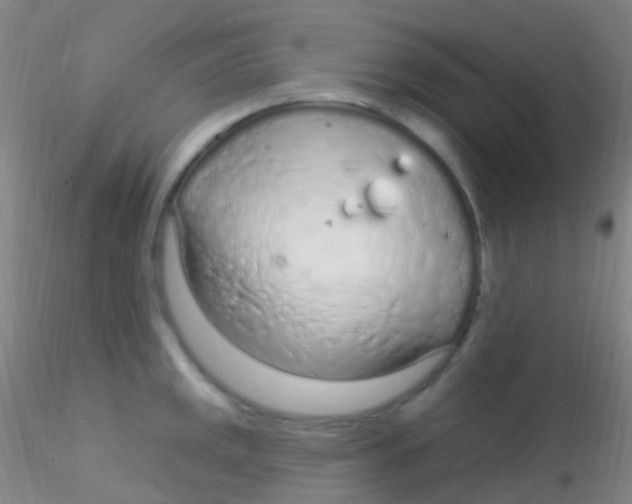 X0000115221141200911251525