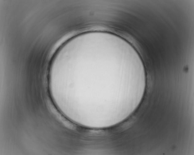 X0000115221142200911251525