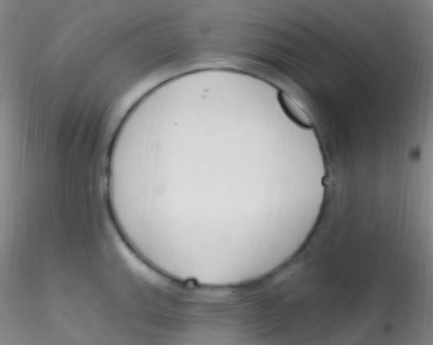 X0000115221143200911251525