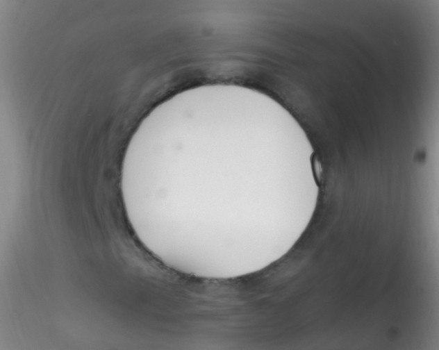 X0000115221153200911251525