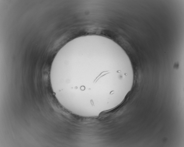 X0000115221154200911251525