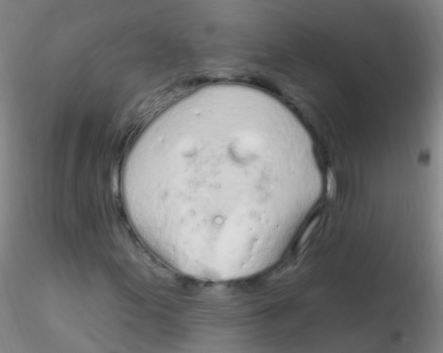 X0000115221155200911251525