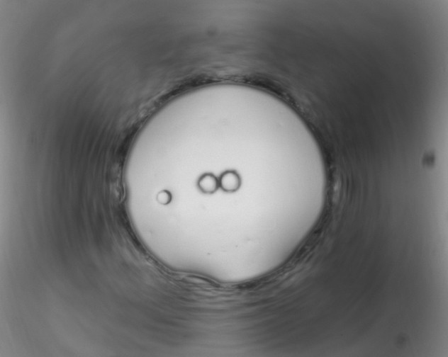 X0000115221156200911251525