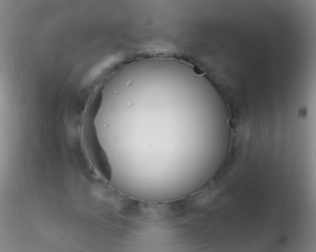 X0000115221157200911251525