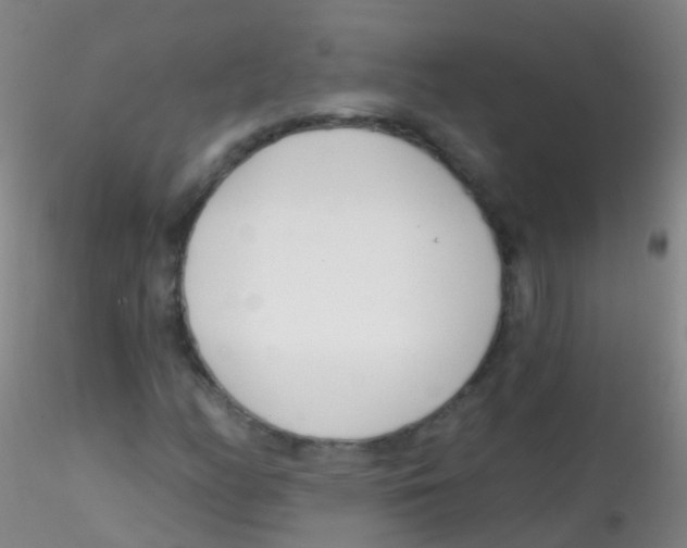 X0000115221158200911251525