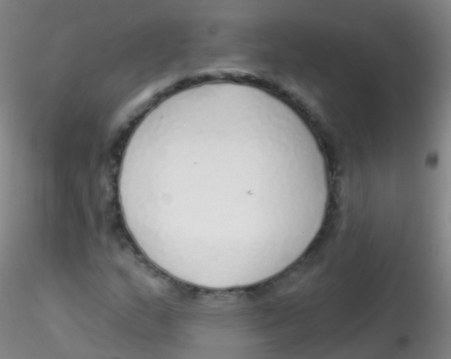 X0000115221159200911251525