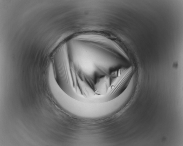 X0000115221161200911251525