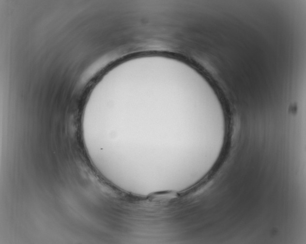 X0000115221163200911251525