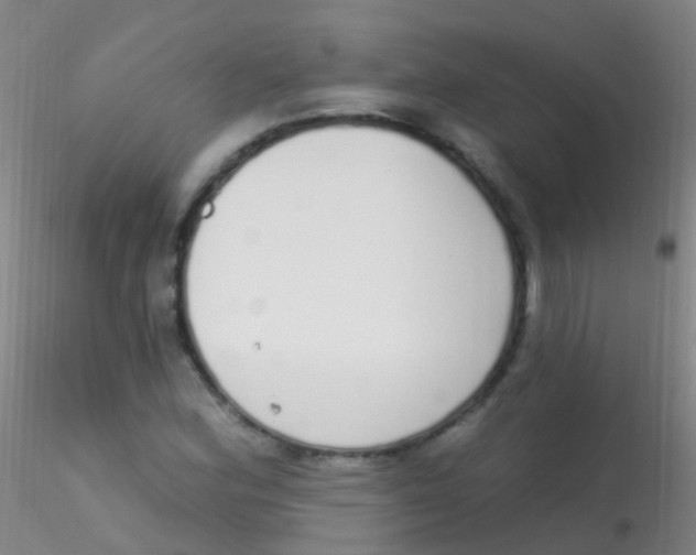 X0000115221164200911251525