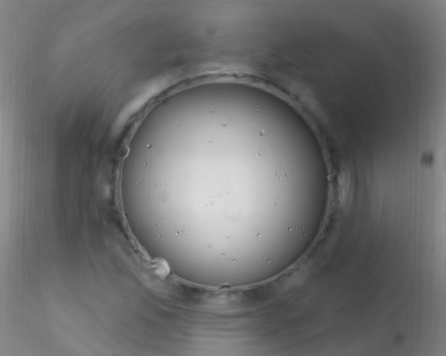 X0000115221165200911251525