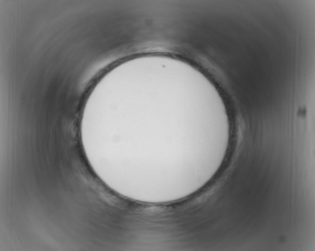 X0000115221166200911251525