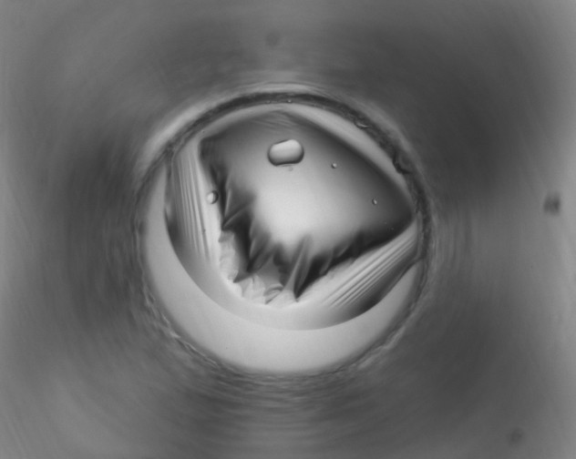 X0000115221167200911251525