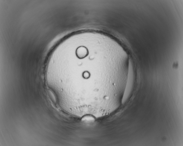 X0000115221168200911251524