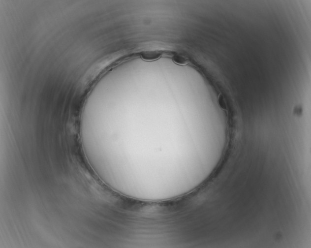 X0000115221169200911251524