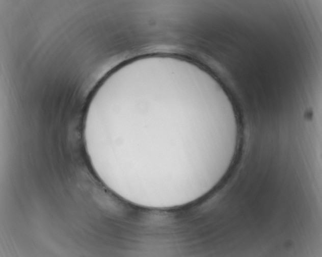 X0000115221170200911251524