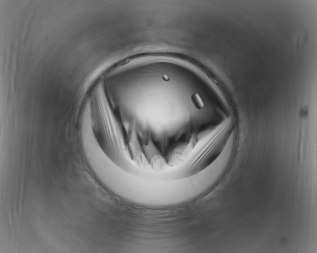 X0000115221173200911251524
