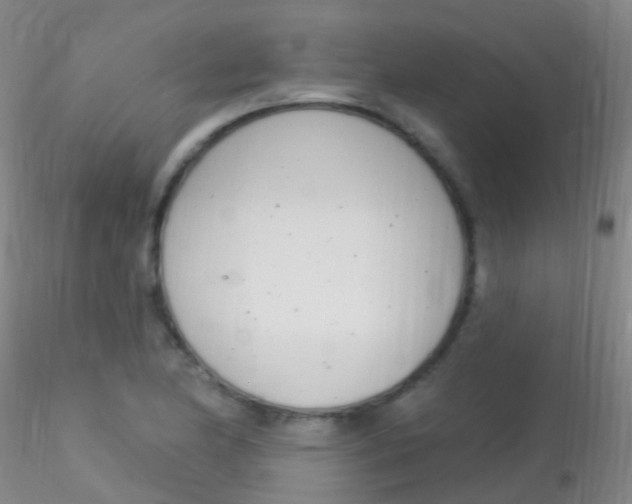 X0000115221174200911251524
