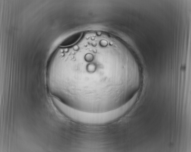 X0000115221176200911251524