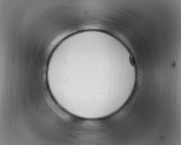 X0000115221179200911251524