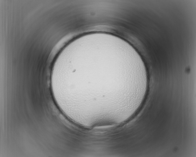 X0000115221180200911251524